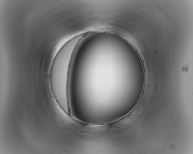 X0000091681344200709061056
