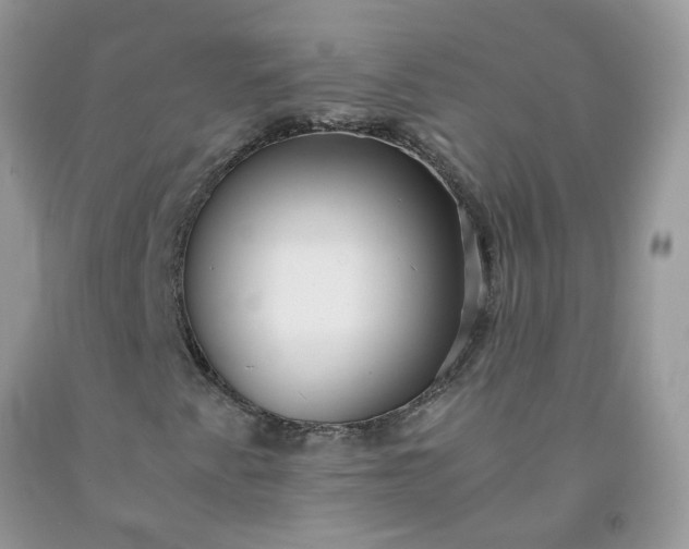X0000091681345200709061055