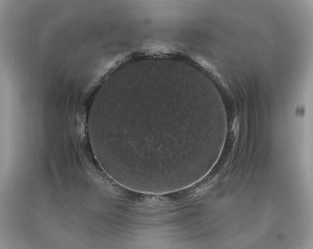 X0000091681348200709061055