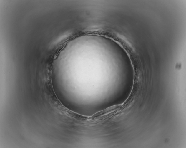 X0000091681350200709061055