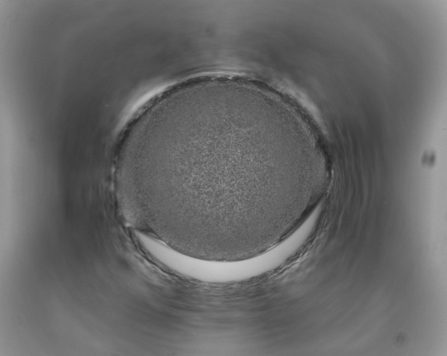 X0000091681352200709061055