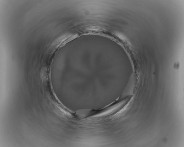 X0000091681353200709061055