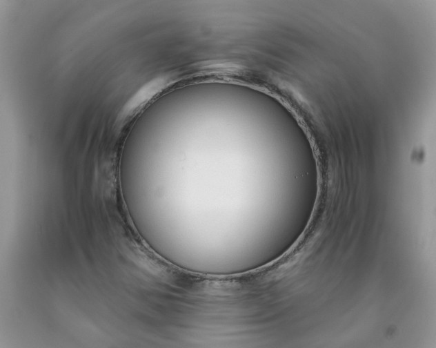 X0000091681354200709061055
