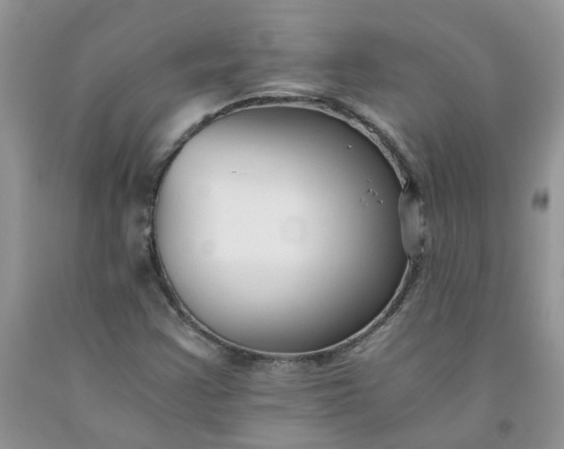 X0000091681355200709061055