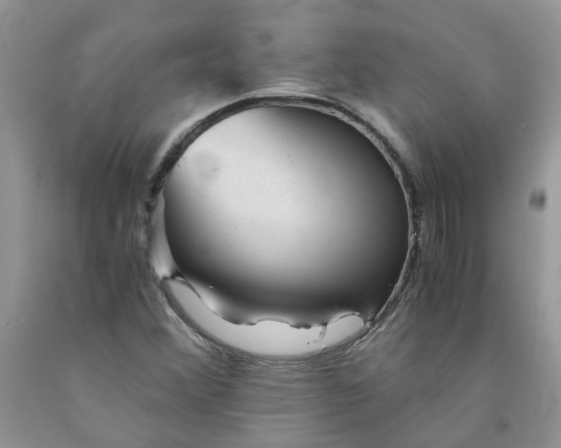 X0000091681356200709061055