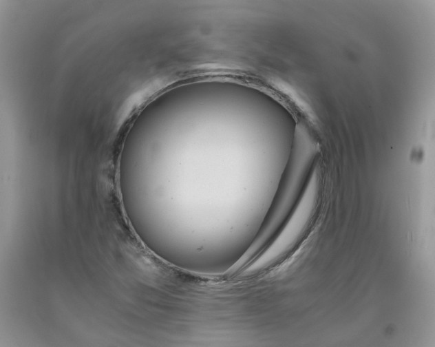 X0000091681357200709061055
