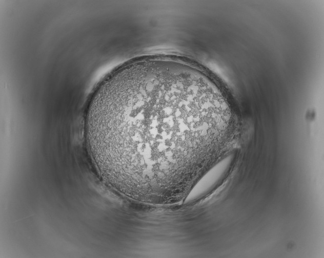 X0000091681358200709061055