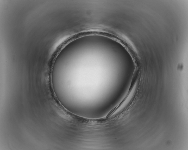 X0000091681360200709061055