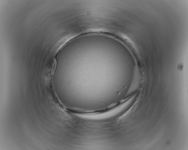 X0000091681361200709061055