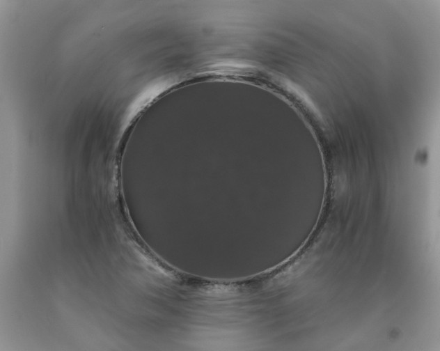 X0000091681362200709061055