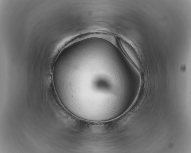 X0000091681363200709061055