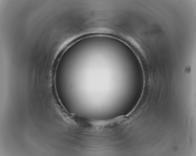 X0000091681364200709061055