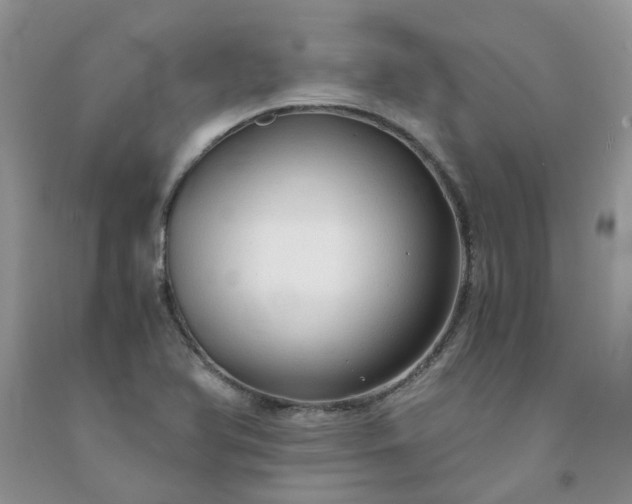 X0000091681366200709061055