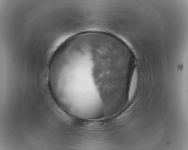 X0000091681367200709061055