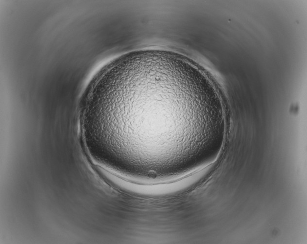 X0000091681368200709061055