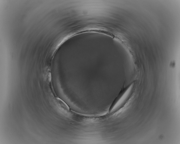 X0000091681369200709061055