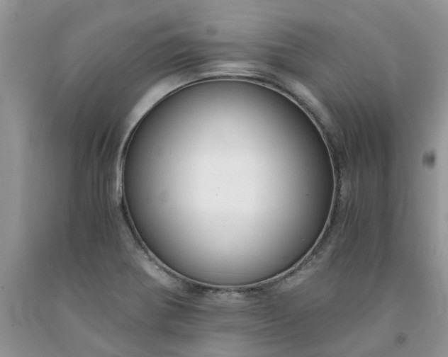 X0000091681370200709061055