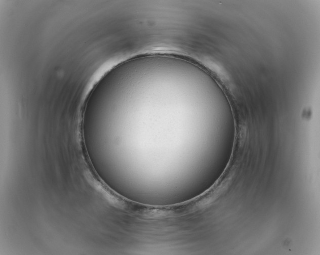 X0000091681374200709061055