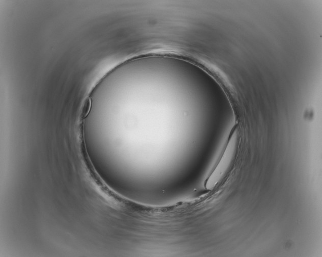 X0000091681375200709061055