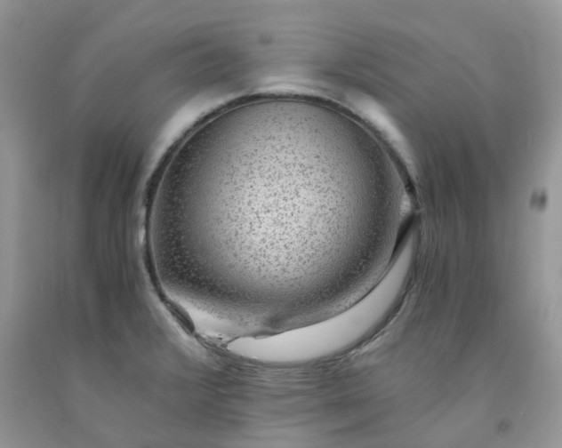 X0000091681376200709061055