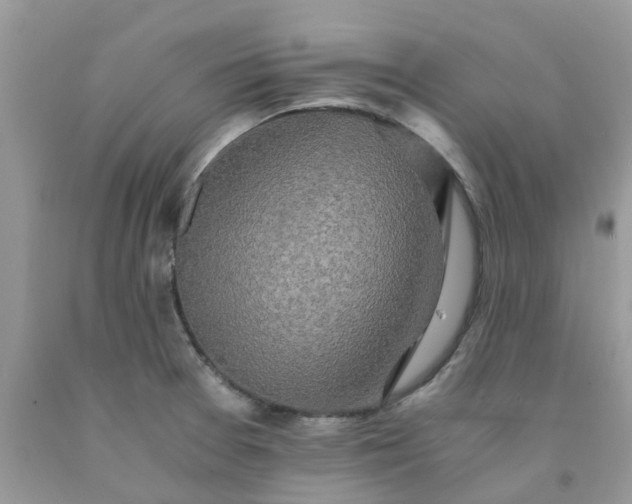 X0000091681377200709061055