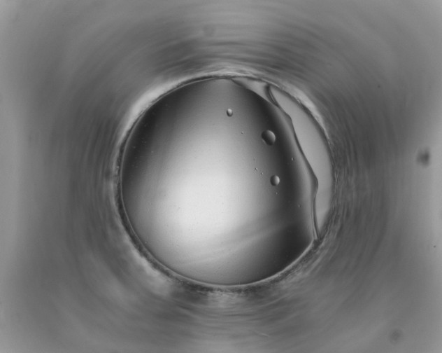 X0000091681379200709061055