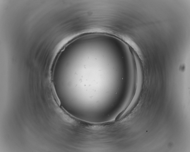 X0000091681380200709061055