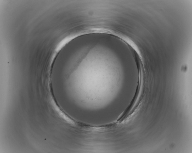 X0000091681381200709061055