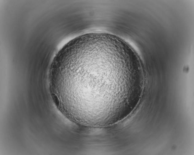 X0000091681382200709061055