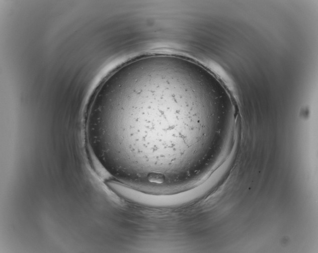 X0000091681384200709061055