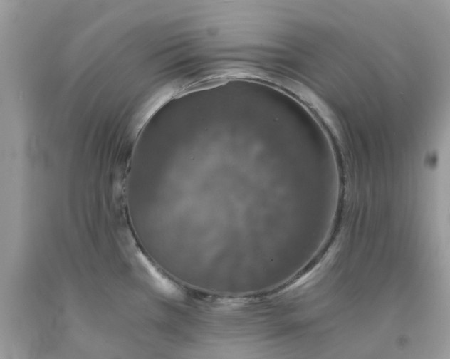 X0000091681385200709061055