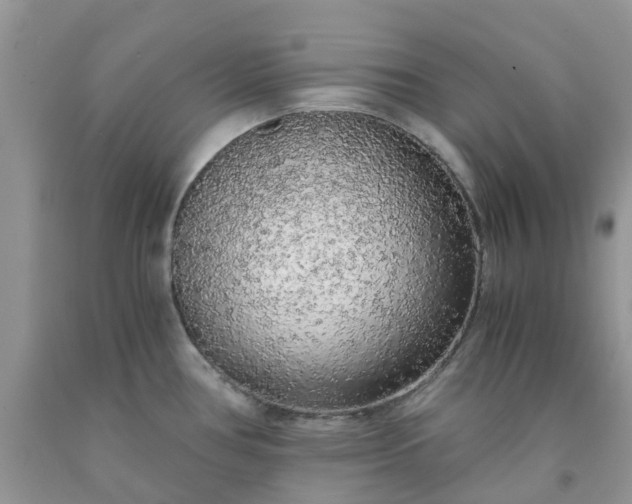 X0000091681386200709061055