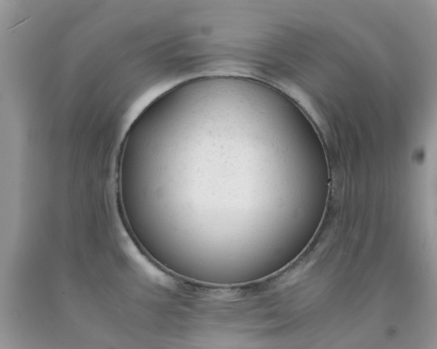 X0000091681387200709061055