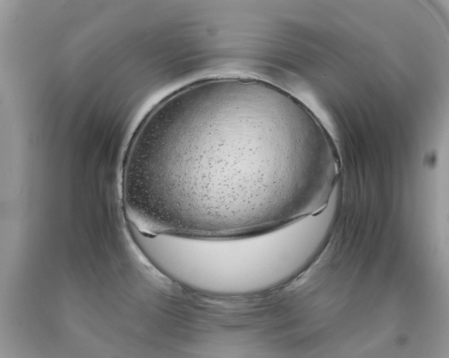 X0000091681388200709061055