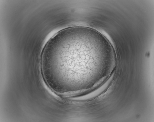 X0000091681389200709061055