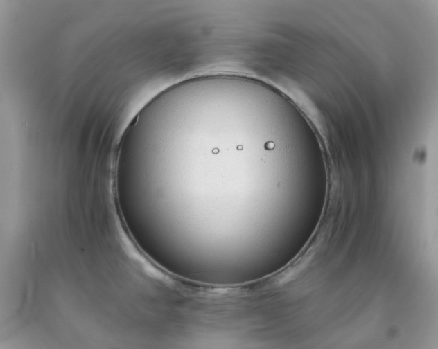 X0000091681390200709061055