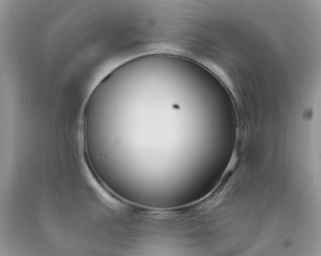 X0000091681391200709061055