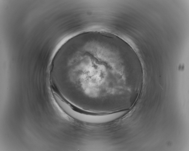 X0000091681392200709061055