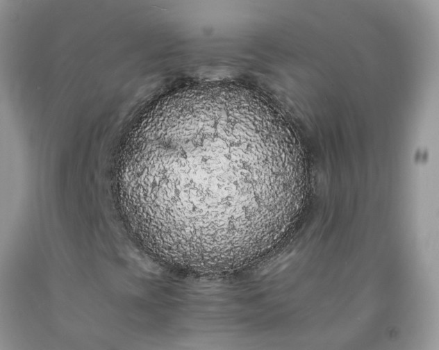X0000091681393200709061054