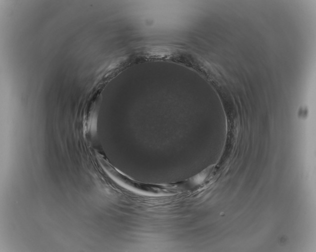 X0000091681394200709061054