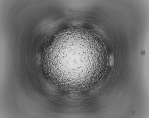 X0000091681395200709061054
