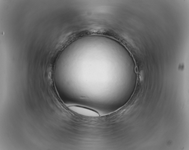 X0000091681396200709061054
