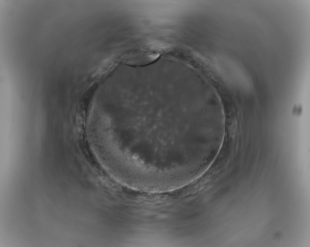 X0000091681397200709061054