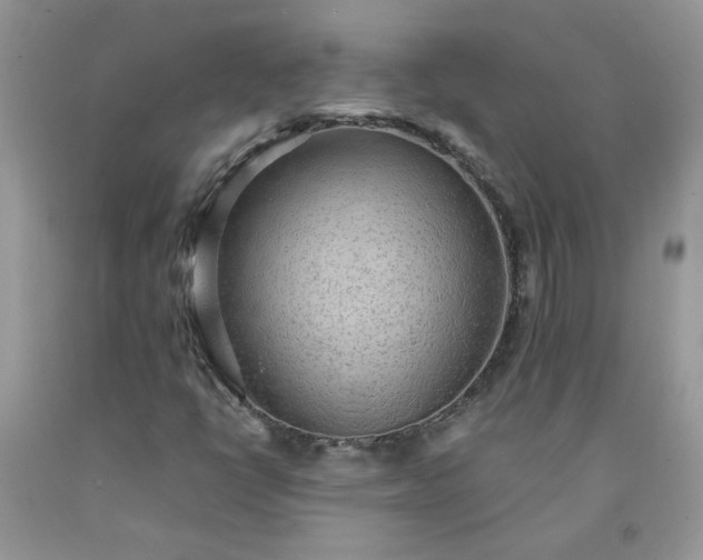 X0000091681398200709061054