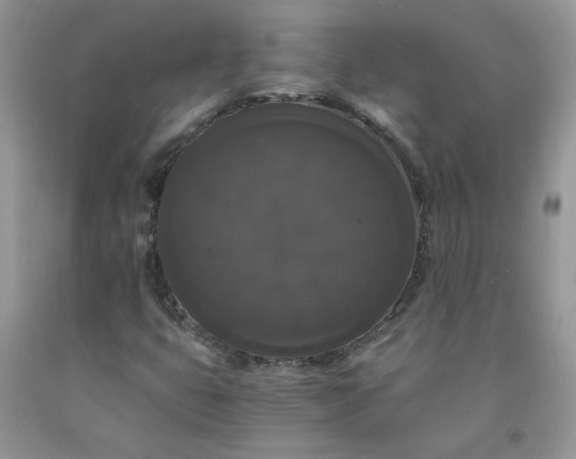 X0000091681399200709061054