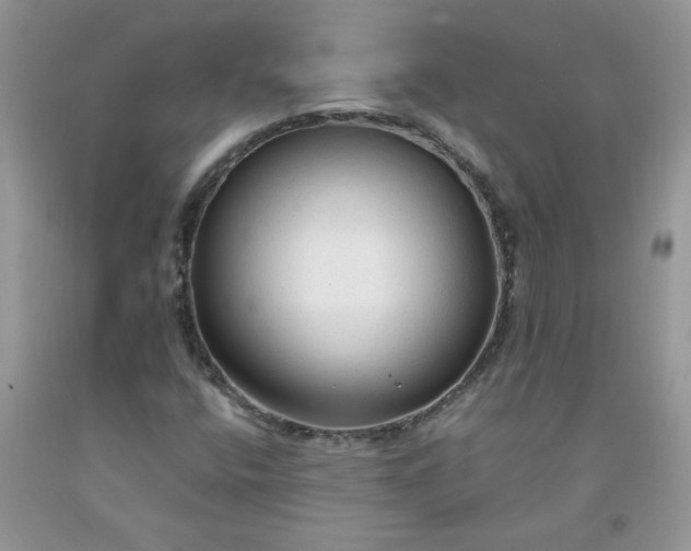 X0000091681400200709061054