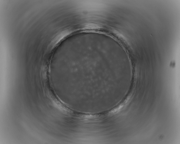 X0000091681401200709061054