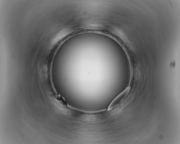 X0000091681402200709061054