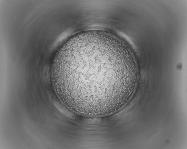 X0000091681403200709061054