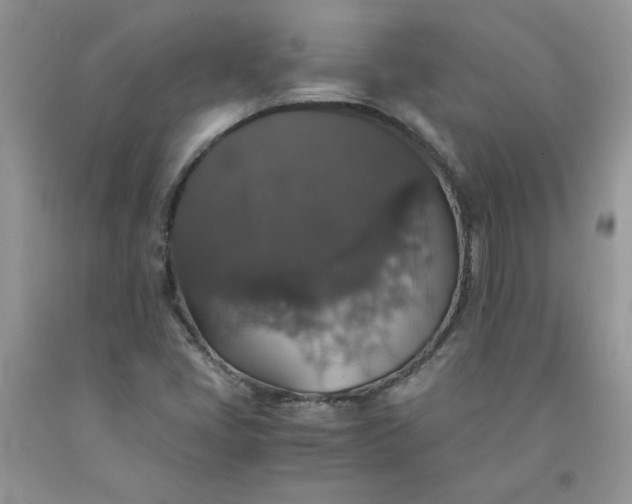 X0000091681405200709061054